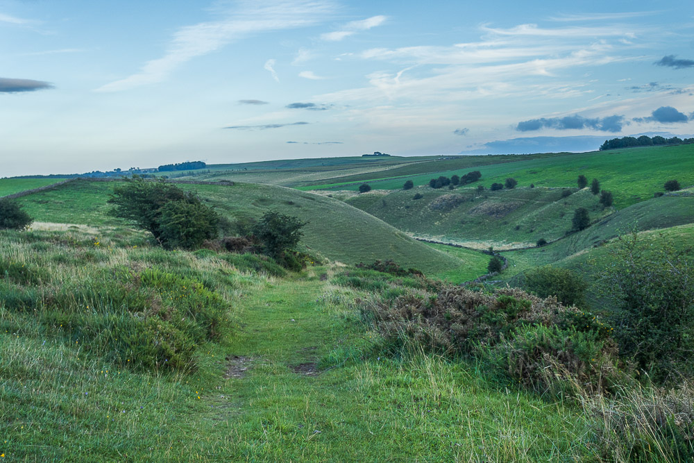 Long Dale